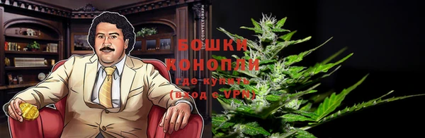 эйфоретик Беломорск