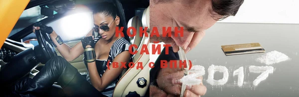 стаф Новозыбков