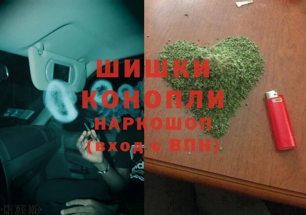 стаф Новозыбков